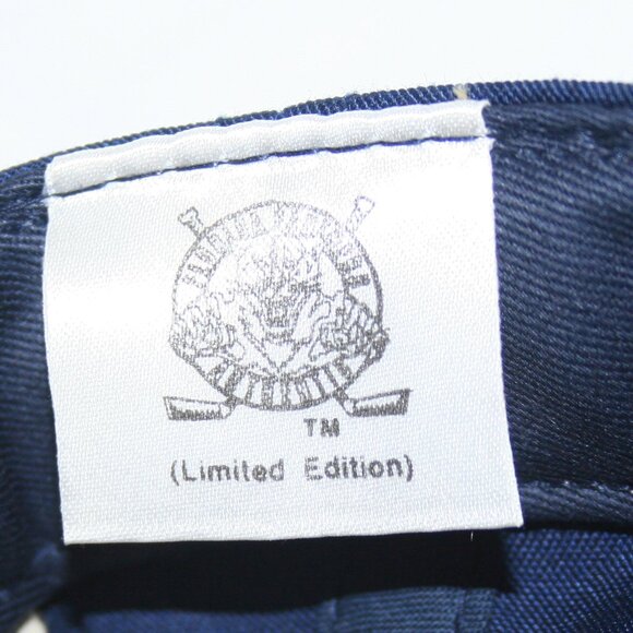 Vintage Florida Panthers NHL 5th Season 1997-1998 SnapBack Hat Cap 90s - Picture 5 of 6